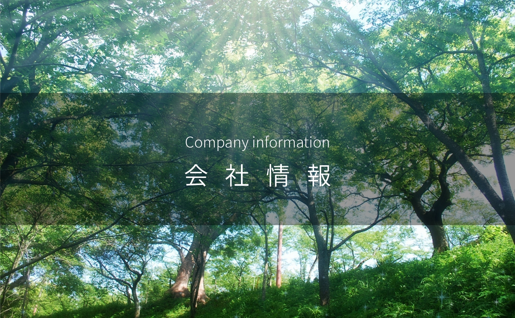 header_company_information